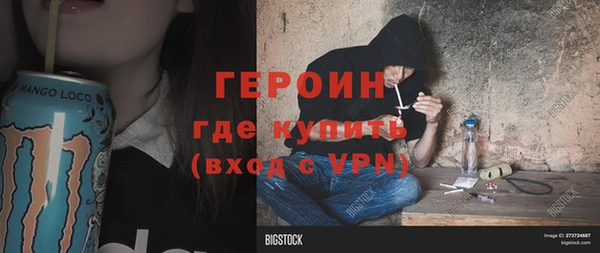 прущие грибы Наволоки