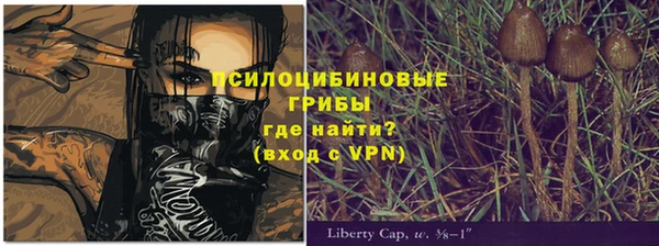 скорость Алзамай