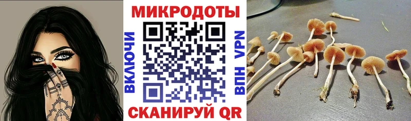 mega ссылка  где купить   Наволоки  Псилоцибиновые грибы прущие грибы 